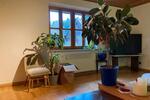 Etagenwohnung Hollfeld - 2 Zimmer, 80 m&sup2;, 840&euro; | Angebot:27585497