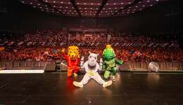 DIKKA - BOAH IST DAS KRASS TOUR 2